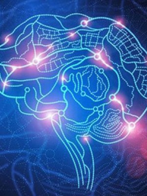 计算神经科学